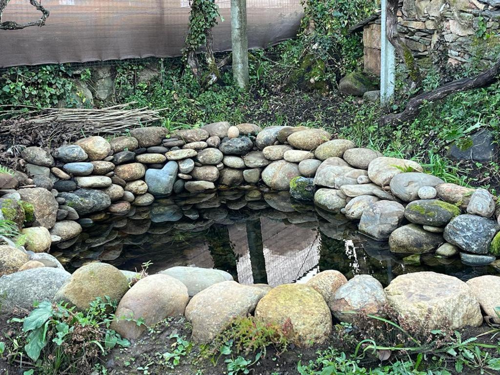 Casa Do Adro-Passadicos Do Paiva Arouca Villa ภายนอก รูปภาพ