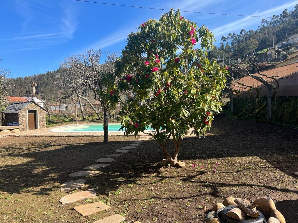 Casa Do Adro-Passadicos Do Paiva Arouca Villa ภายนอก รูปภาพ